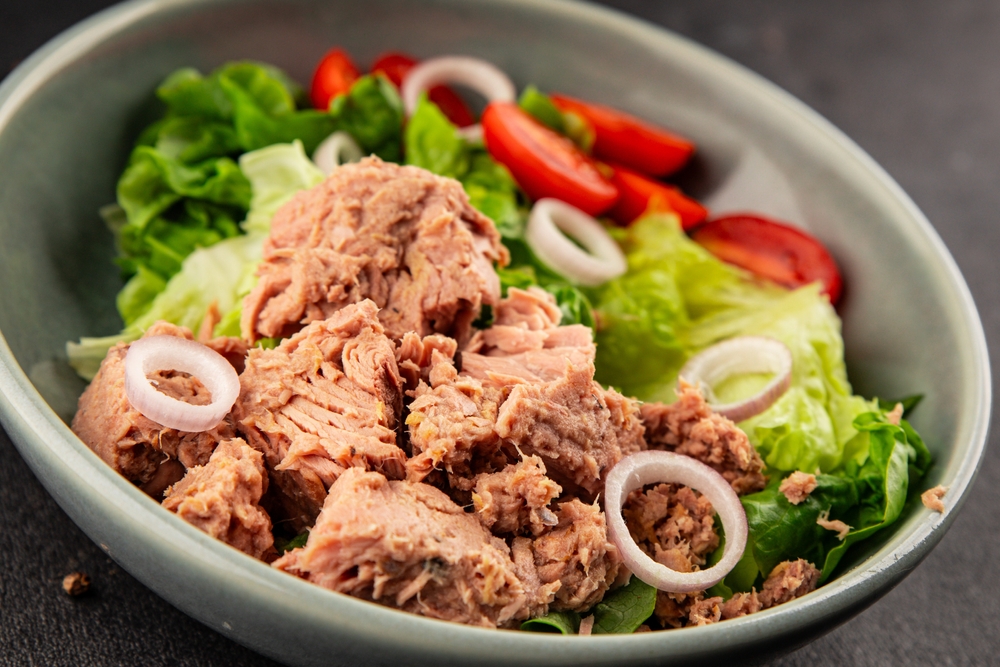 shutterstock_2656257385.jpg shutterstock_2656257385.jpg