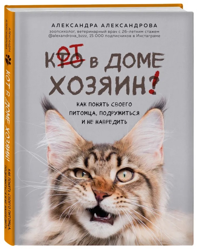 Кот в доме.jpg Кот в доме.jpg