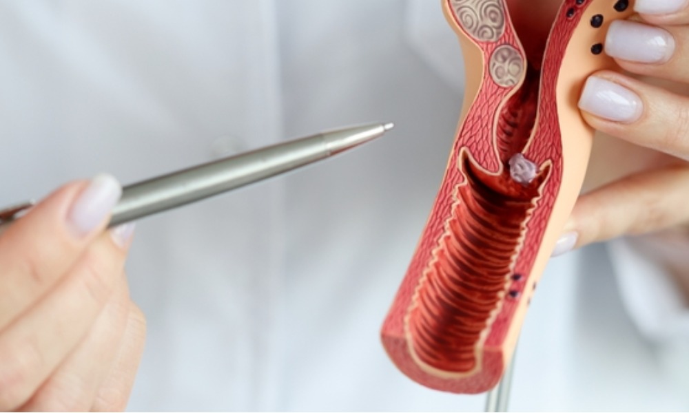 MyCollages - 2025-11-26T180552.888.jpg