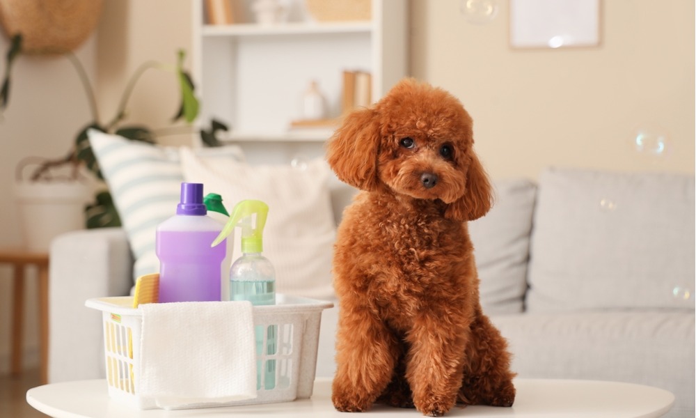 MyCollages - 2026-03-05T170238.753.jpg