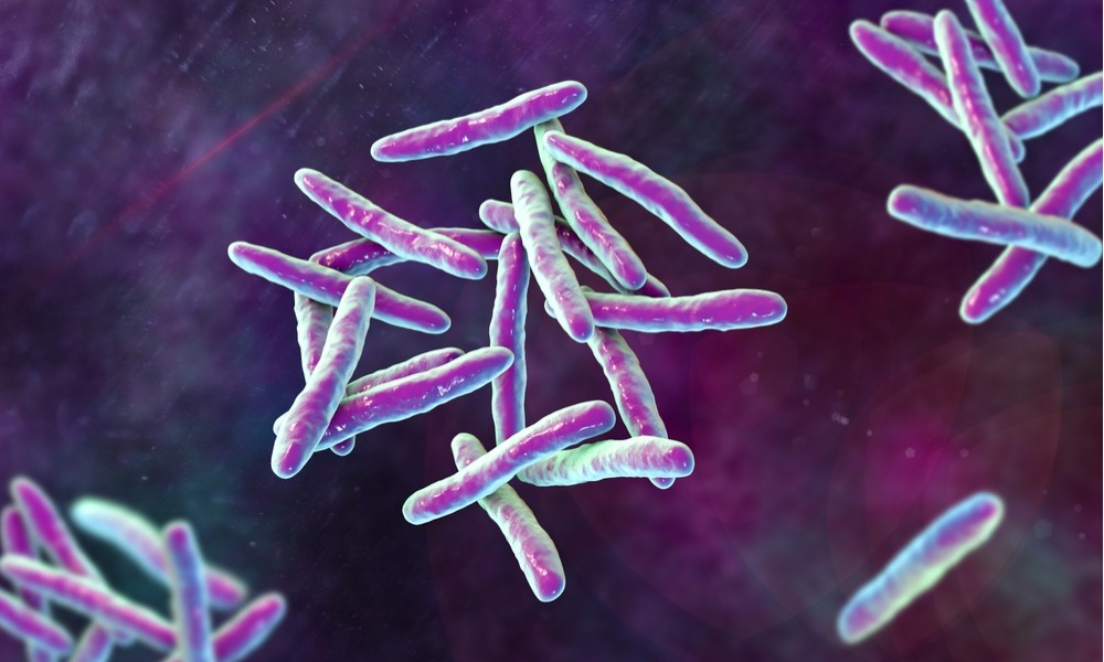 MyCollages - 2026-03-23T160702.882.jpg