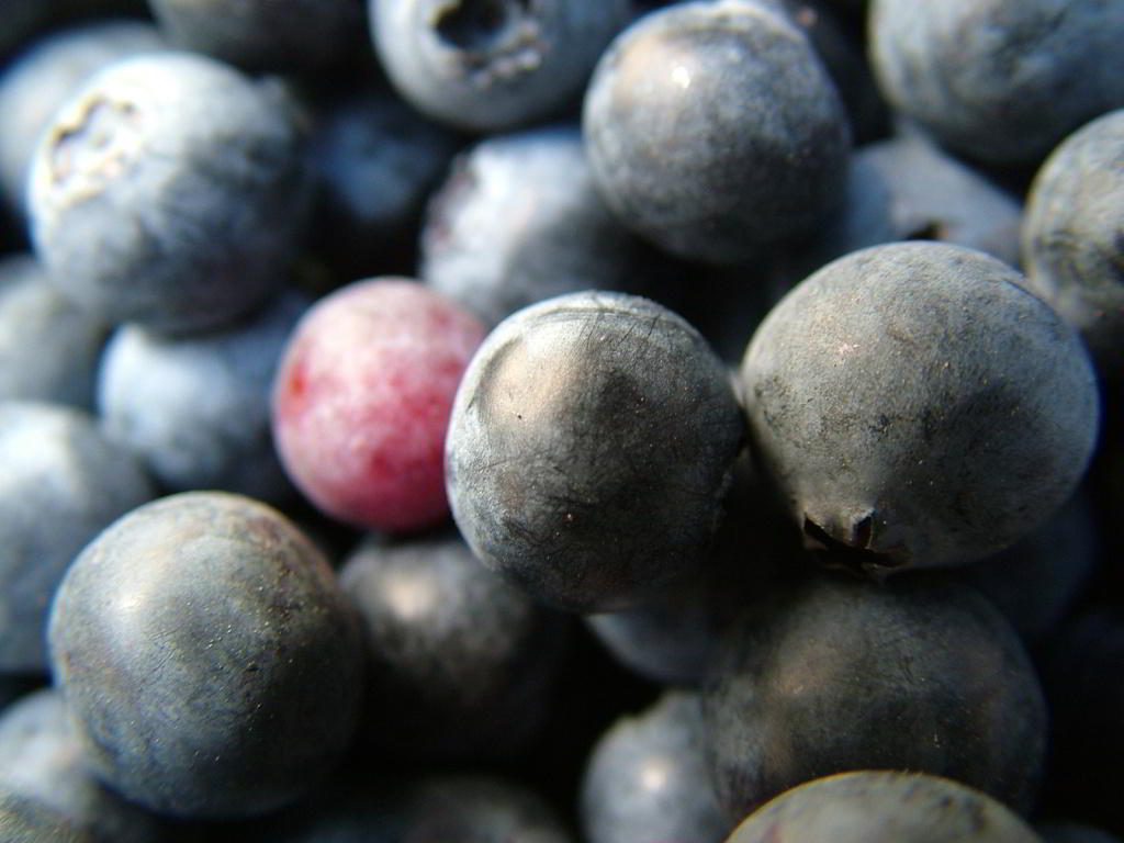 ummm-berries-1563509-1600x1200.jpg