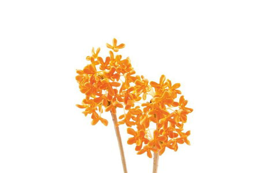 shutterstock_900.jpg shutterstock_900.jpg