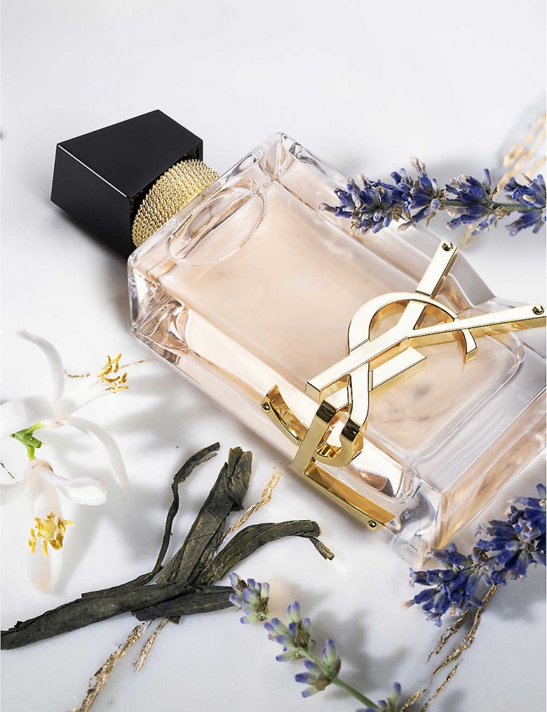 YSL.jpg YSL.jpg