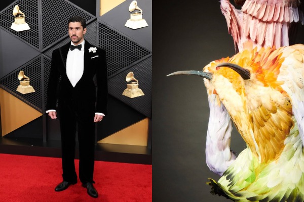 MyCollages - 2026-02-09T231252.141.jpg