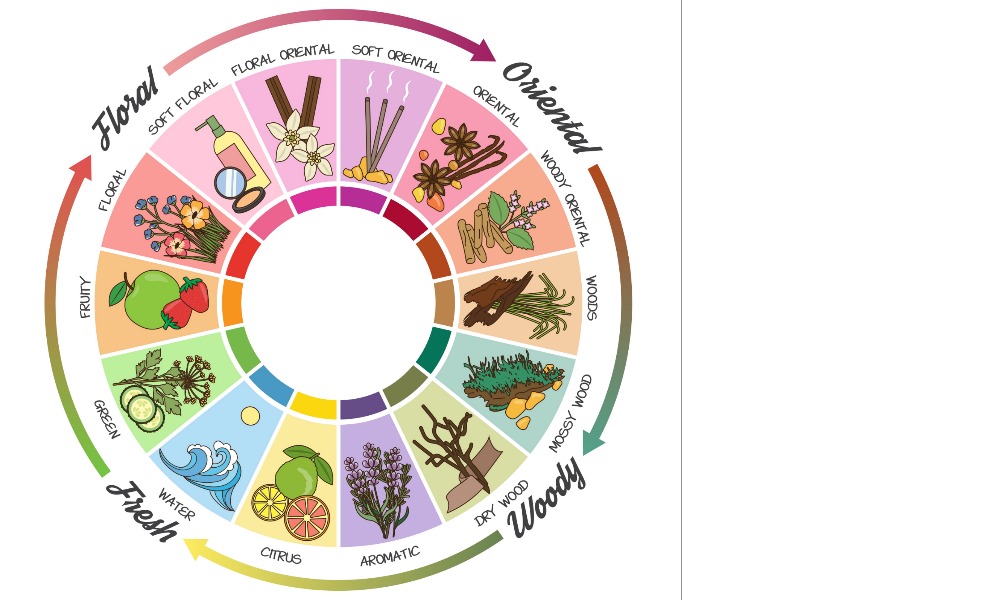 MyCollages - 2026-02-24T112450.731.jpg