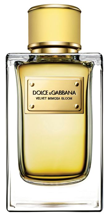 Velvet Collection Mimosa DOLCE & GABBANA копия.jpg Velvet Collection Mimosa DOLCE & GABBANA копия.jpg