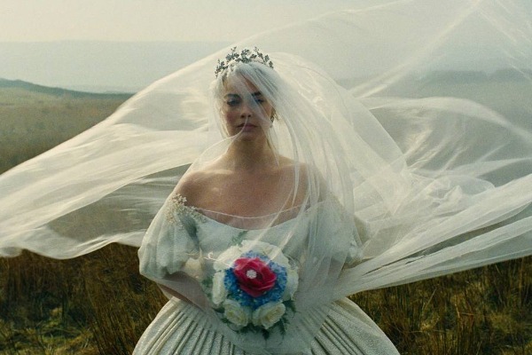 MyCollages - 2026-02-13T231126.941.jpg MyCollages - 2026-02-13T231126.941.jpg