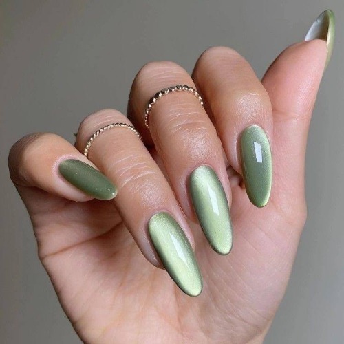 MyCollages - 2026-02-20T222927.676.jpg MyCollages - 2026-02-20T222927.676.jpg