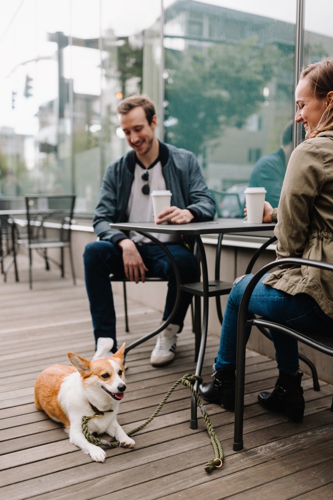 chewy-AQ8XIIRDuWc-unsplash.jpg