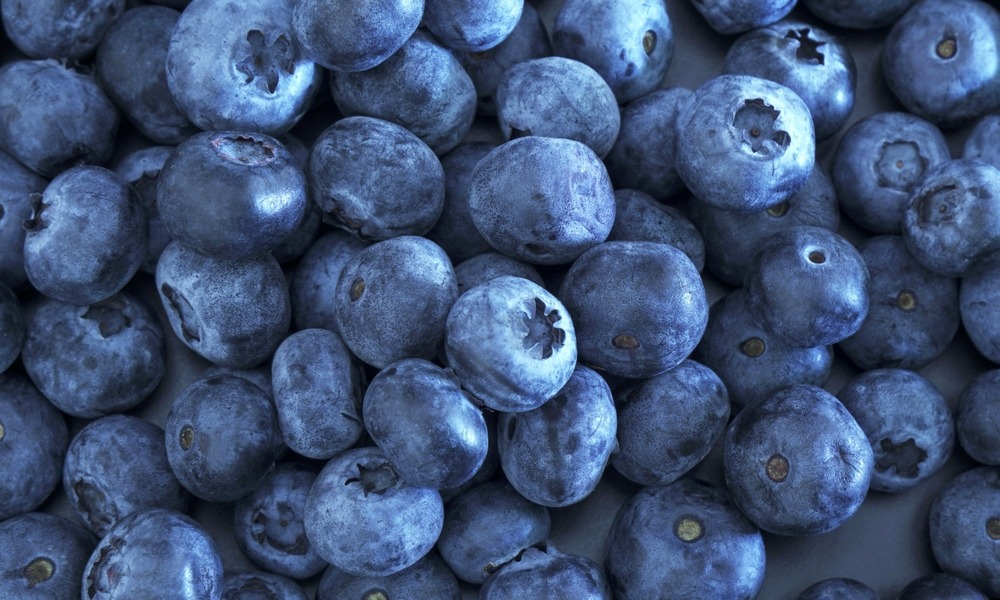 MyCollages - 2025-10-29T140706.652.jpg MyCollages - 2025-10-29T140706.652.jpg