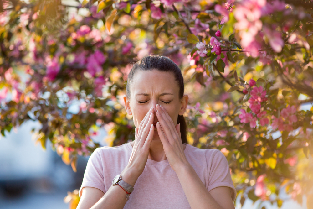 Если внезапно проявилась аллергия на пыльцу, еду, шерсть или пыль: 5 шагов, которые быстро избавят от симптомов