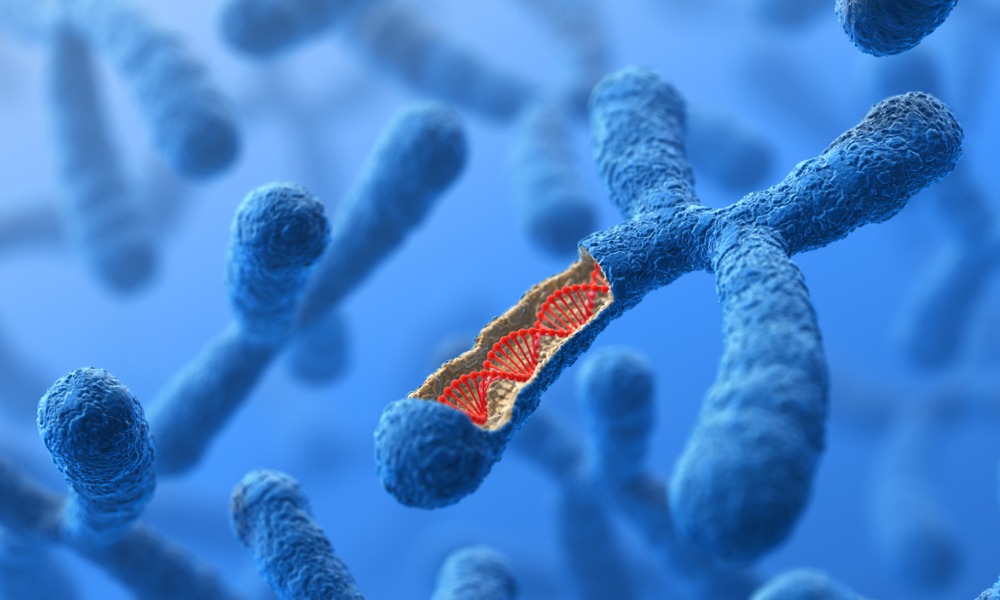 Хромосома.jpg
