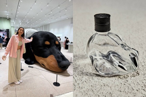 MyCollages - 2026-02-18T100007.408.jpg