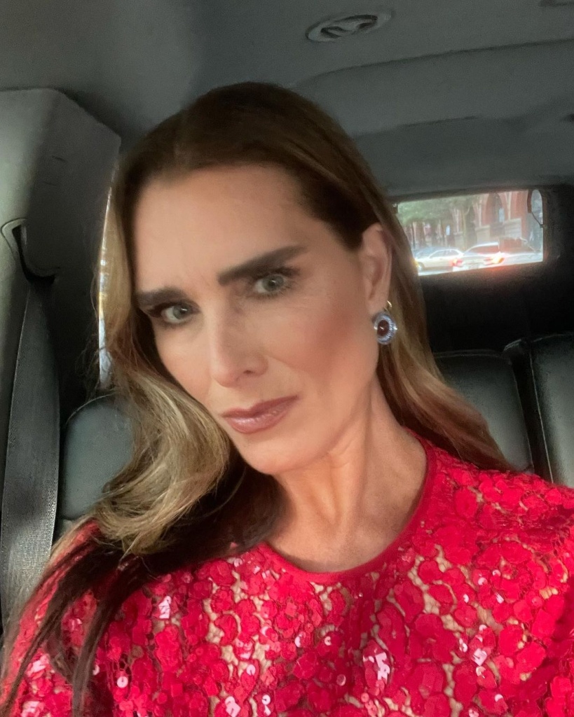 брук шилдс brookeshields_248916588_308430594098981_6416344590919267365_n.jpg