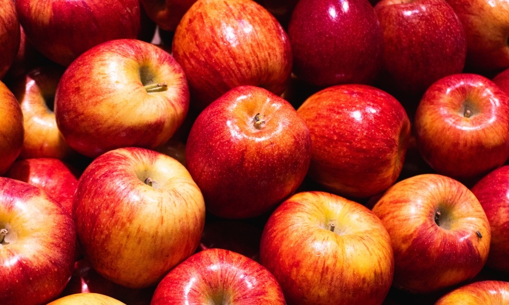 MyCollages - 2025-11-13T170029.555.jpg MyCollages - 2025-11-13T170029.555.jpg