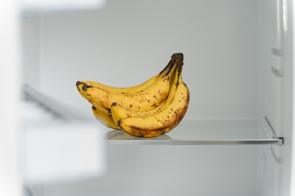 shutterstock_2481412691.jpg shutterstock_2481412691.jpg