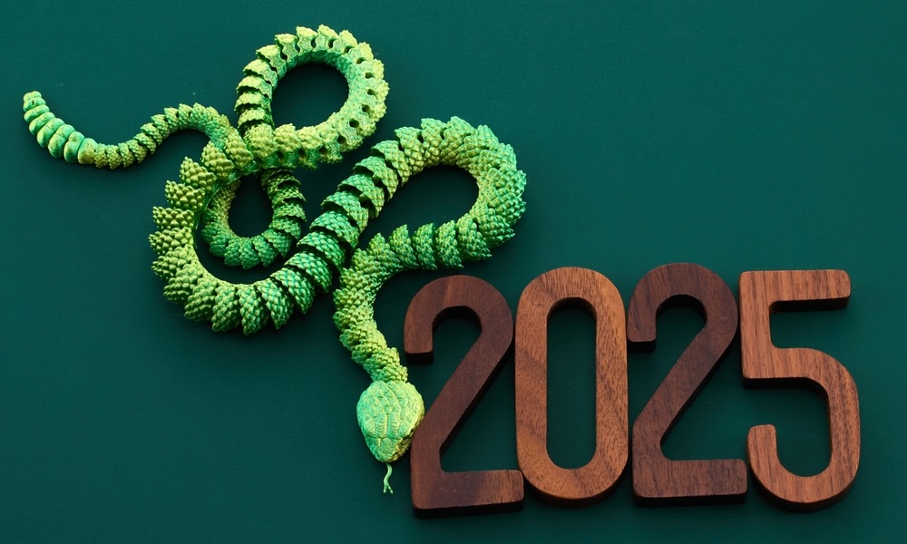 MyCollages - 2024-12-21T195126.993.jpg MyCollages - 2024-12-21T195126.993.jpg