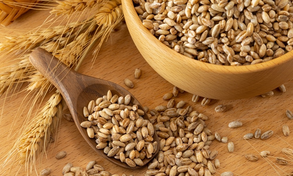 MyCollages - 2025-12-16T162223.617.jpg