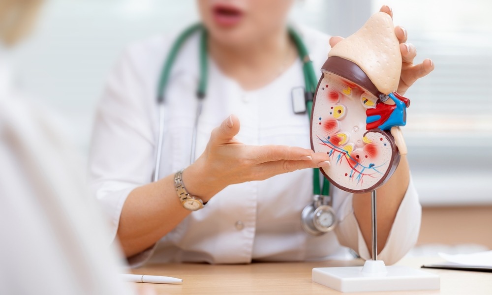 MyCollages - 2026-03-26T134016.775.jpg