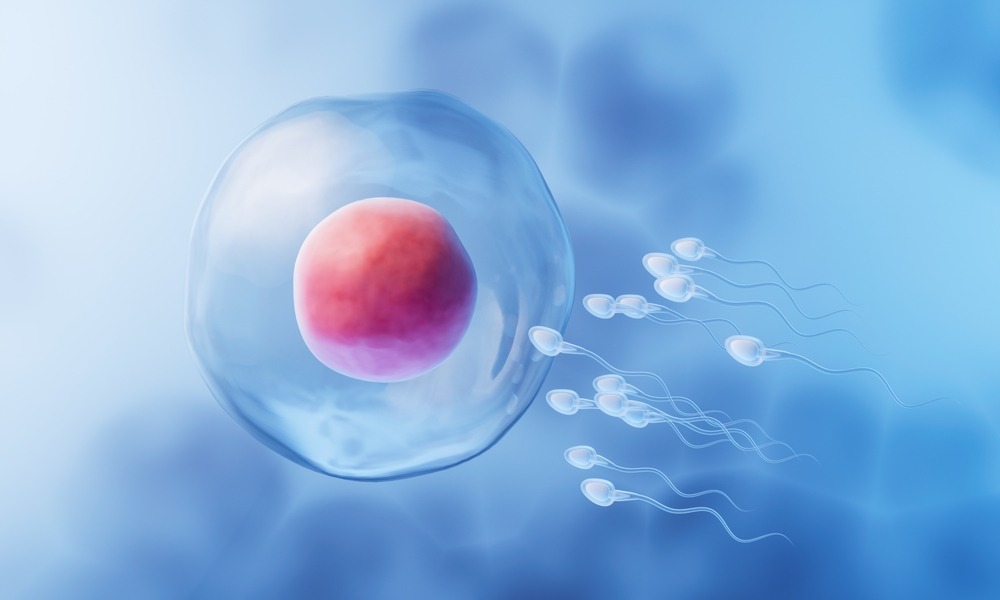 MyCollages - 2025-10-28T135801.917.jpg MyCollages - 2025-10-28T135801.917.jpg