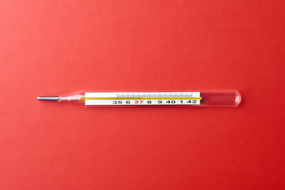 shutterstock_2681120701 (1).jpg