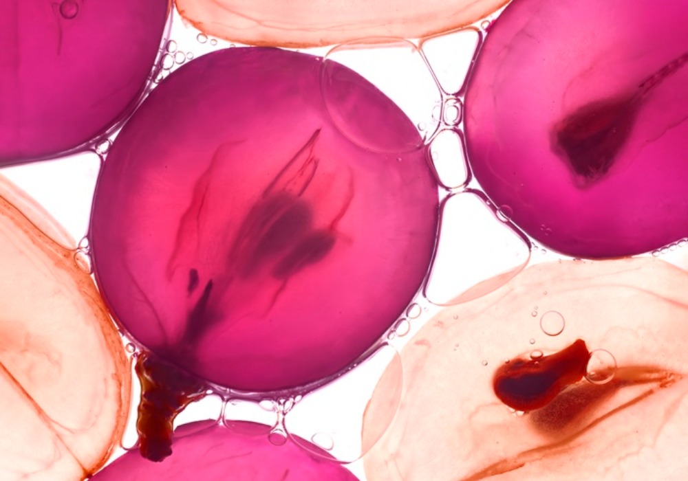 MyCollages - 2026-02-10T174446.027.jpg