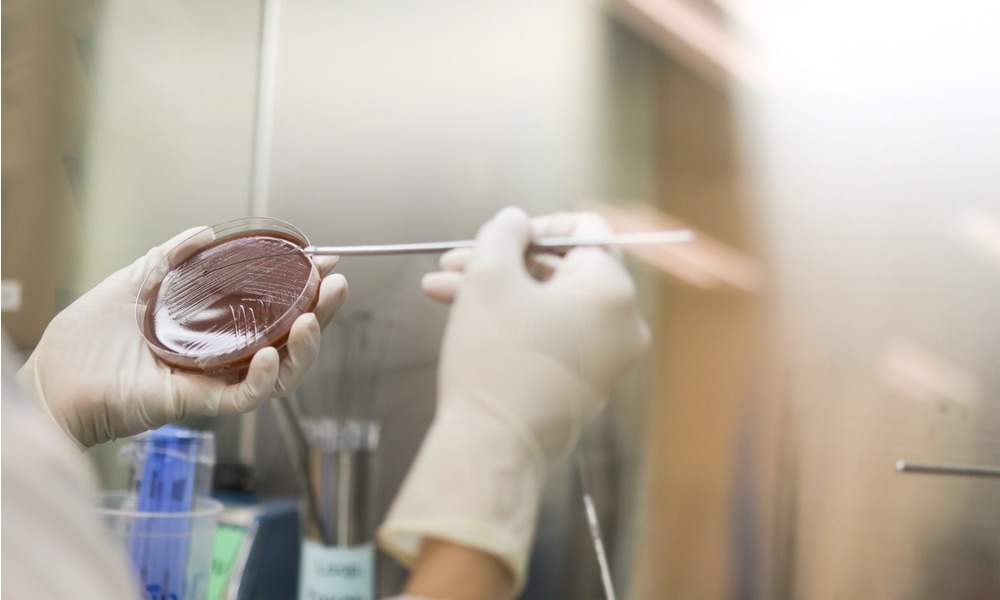 MyCollages - 2025-11-07T111525.066.jpg MyCollages - 2025-11-07T111525.066.jpg