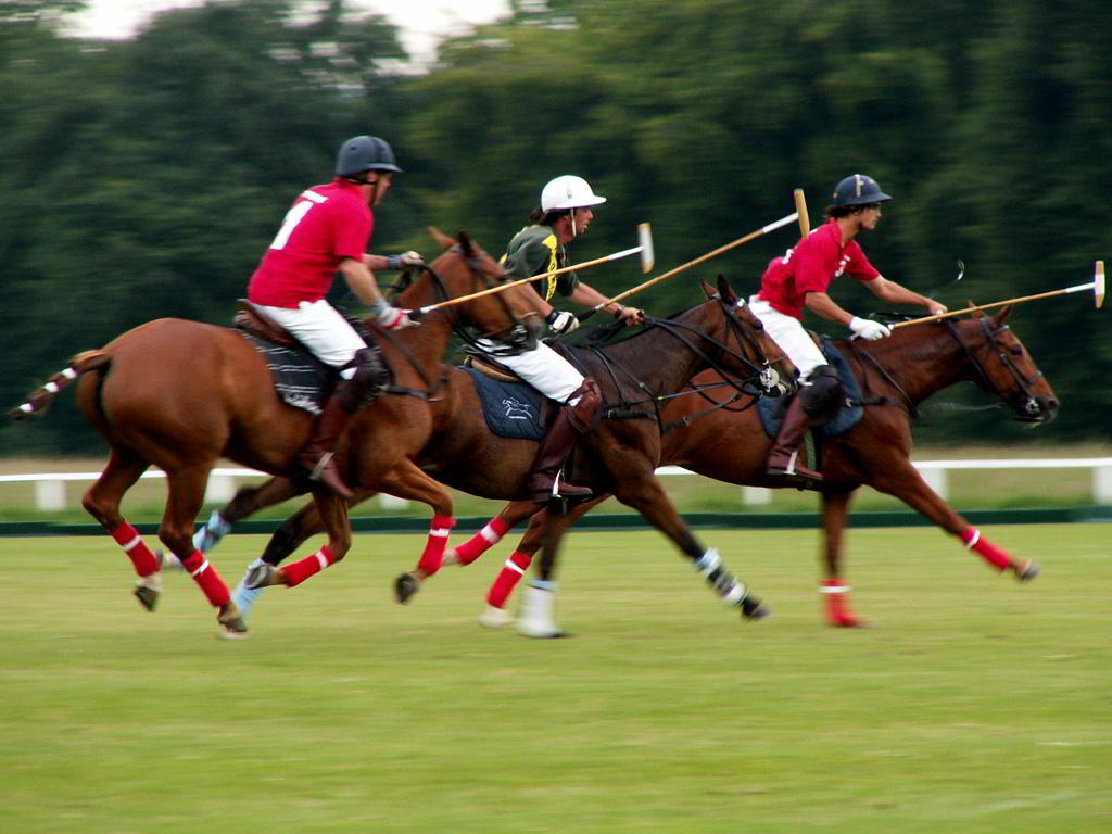 polo-game-1378546.jpg