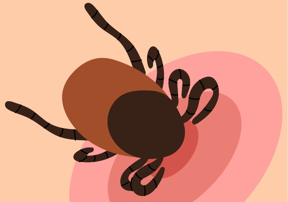 MyCollages - 2026-04-13T181748.419.jpg