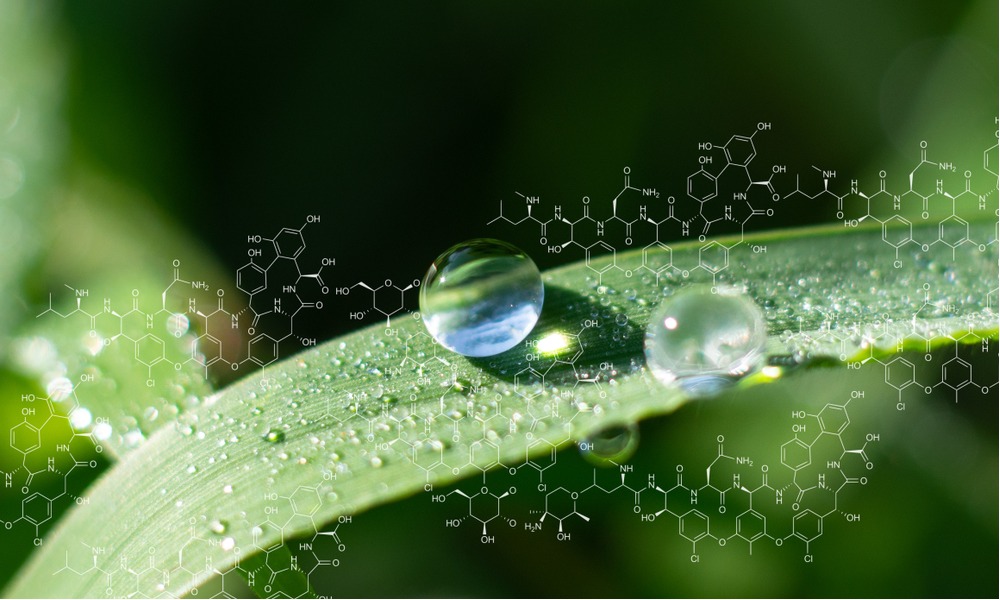 MyCollages - 2025-10-16T154554.873.jpg