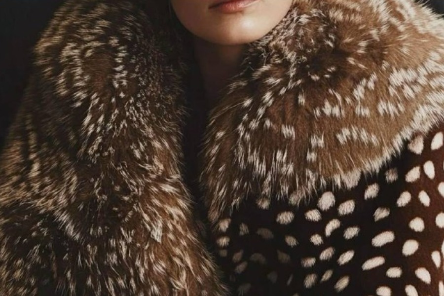 MyCollages - 2026-02-07T235847.649.jpg