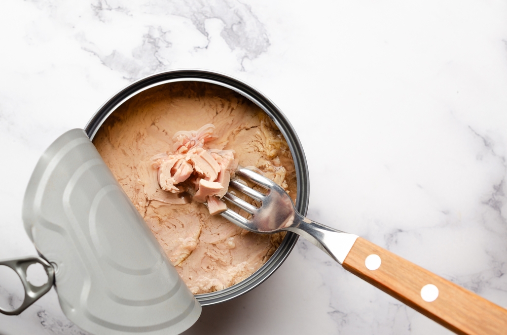 shutterstock_2639080505.jpg shutterstock_2639080505.jpg