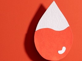 Ферритин и гематокрит: как они связаны и зачем знать об уровне железа в организме 