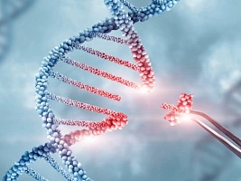 Включить ген: что делать, если ожирение заложено в ДНК?