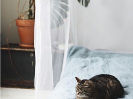 Создаем уют: 3 простых лайфхака, которые помогут сделать спальню идеальным местом для отдыха