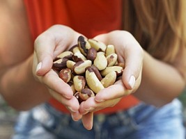 Селен — вред и польза: трихолог рассказала, почему этим микроэлементом нельзя злоупотреблять