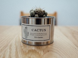 Для чего нужна косметика с кактусовой водой?
