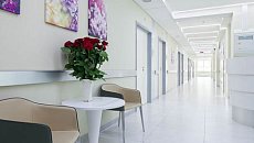 жидкие патчи что это такое. Смотреть фото жидкие патчи что это такое. Смотреть картинку жидкие патчи что это такое. Картинка про жидкие патчи что это такое. Фото жидкие патчи что это такое
