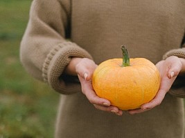 Хотите похудеть, но не знаете, с чего начать: какой специалист поможет