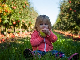 Что такое правильные пищевые привычки и как привить их детям 