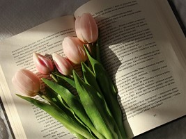 От классики до современности: 12 книг о романтических отношениях
