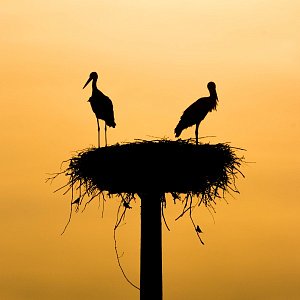 5 причин, почему вы выбираете не тех мужчин