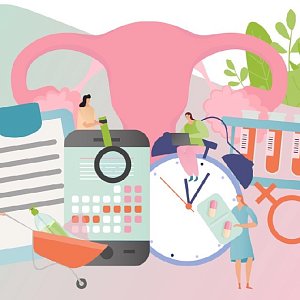 Эстрогены и их влияние на женский организм Эстрогены и их влияние на женский организм