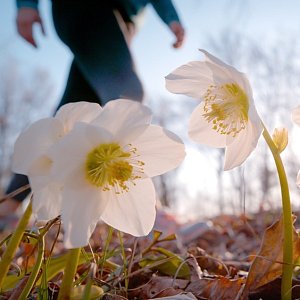 Чем бережнее, тем стабильнее: гороскоп здоровья на неделю с 20 по 26 апреля