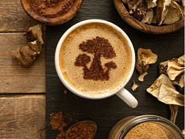 Чага-латте и какао с рейши: 3 причины, почему вам могут понадобиться грибы-адаптогены