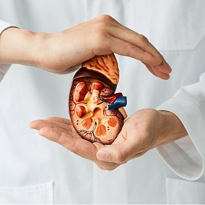 Хроническая болезнь почек: почему не стоит худеть с помощью мочегонных средств