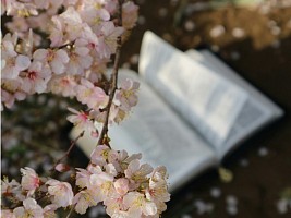 10 книг, которые помогут раскрыть женственность