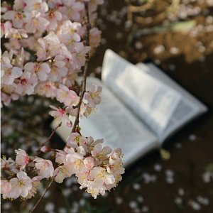 10 книг, которые помогут раскрыть женственность