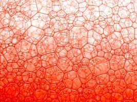 Полинуклеотиды: как трендовый компонент омолаживает кожу и «чинит» клетки 